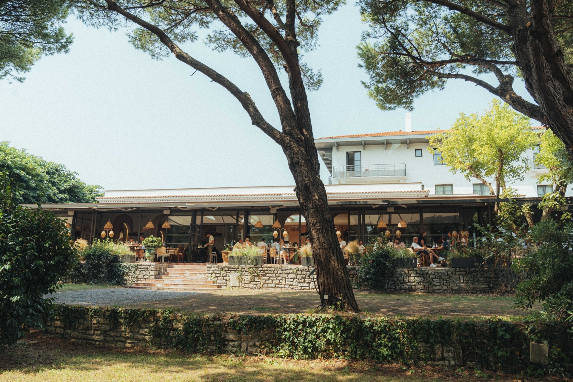 Garden Party (3)