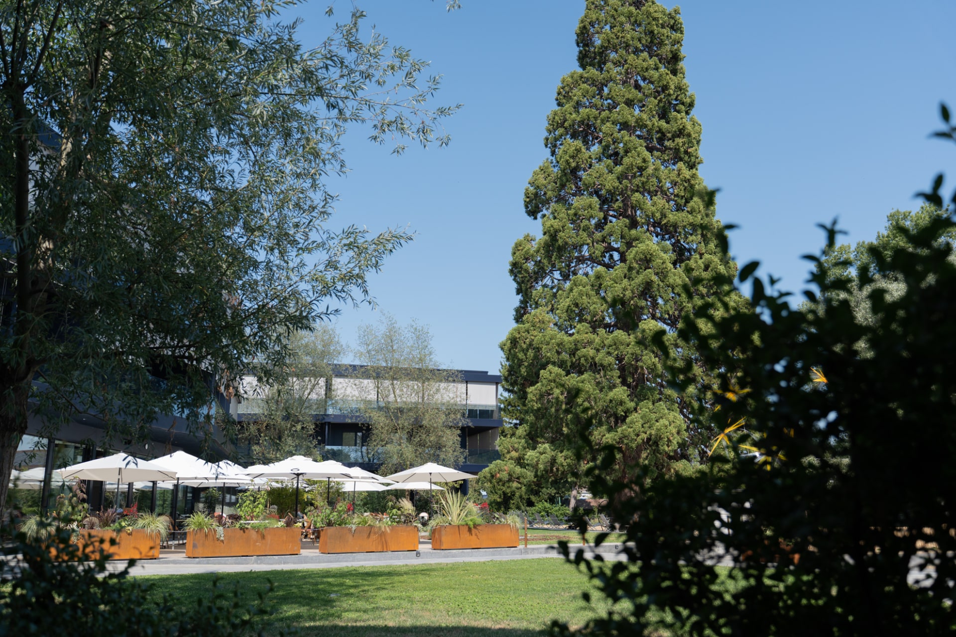hotel-pattus-maison-rivia-terrasse-jardin-01
